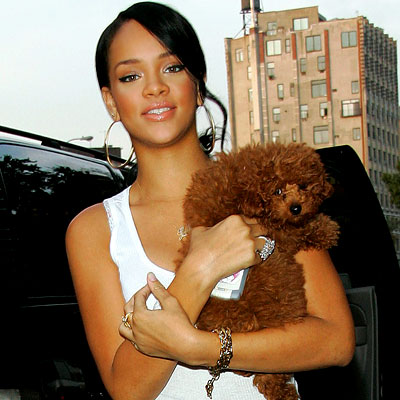 perro de Rihanna